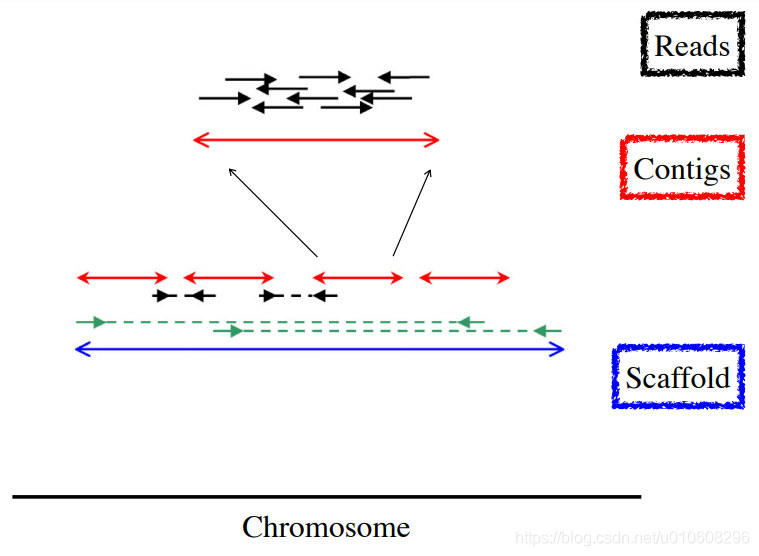 Knowledge of Sequencing