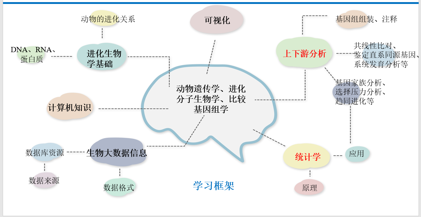 分子进化生物学学习框架